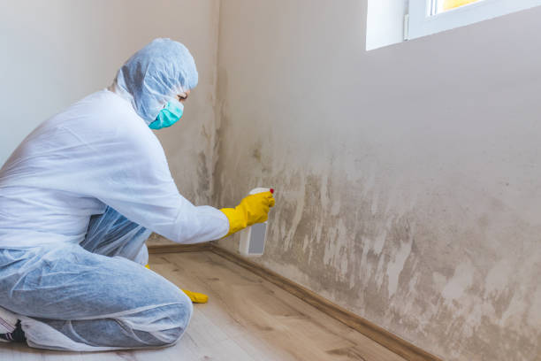 Licensed Mold Testing service in Cordova, NC - WQB Mold Removal