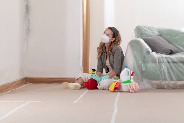 Reliable Mold Testing contractor in Cordova, NC by WQB Mold Removal